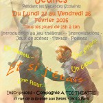 STAGE THEATRE JEUNES - A TOI THEATRE - HIVER 2016